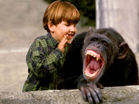 laughing_chimpthumb.jpg